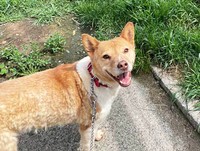 ときにはとびきりの笑顔を見せてくれるようにもなりました