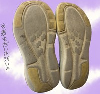 恐ろしいほどに底がすり減ったプニ太の靴（ぷにまあむさん提供）