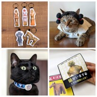 様々な用途で楽しめる古代シリーズ！（提供：ネコノテ堂/ NEKONOTE Handmade Shopさん）