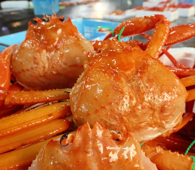 その電話、大丈夫カニ？