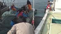 伊吹島でカタクチイワシ漁が解禁　重油高騰で早めに漁をきりあげる網元も　香川・観音寺市