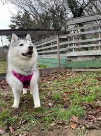 あれ？あんよが短く見えるは気のせいかな？（提供：ハマジさん）