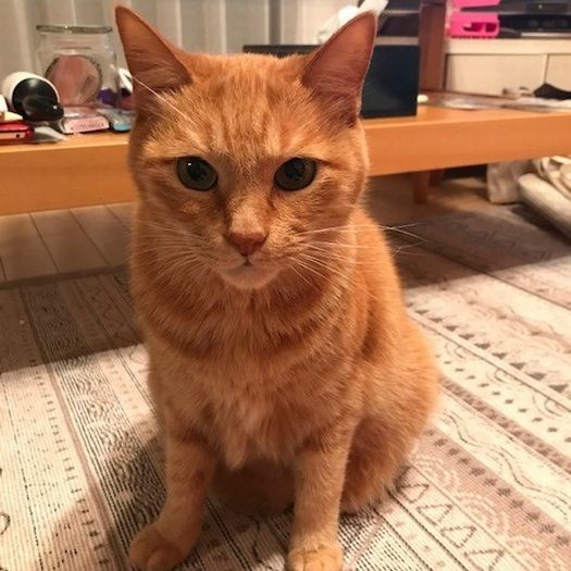 「じゃあ、またね」