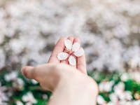 失くしたはずの英検受験票。数年後に思いもよらぬ場所で再会した