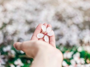 失くしたはずの英検受験票。数年後に思いもよらぬ場所で再会した