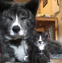 Twitterでバズったツーショット