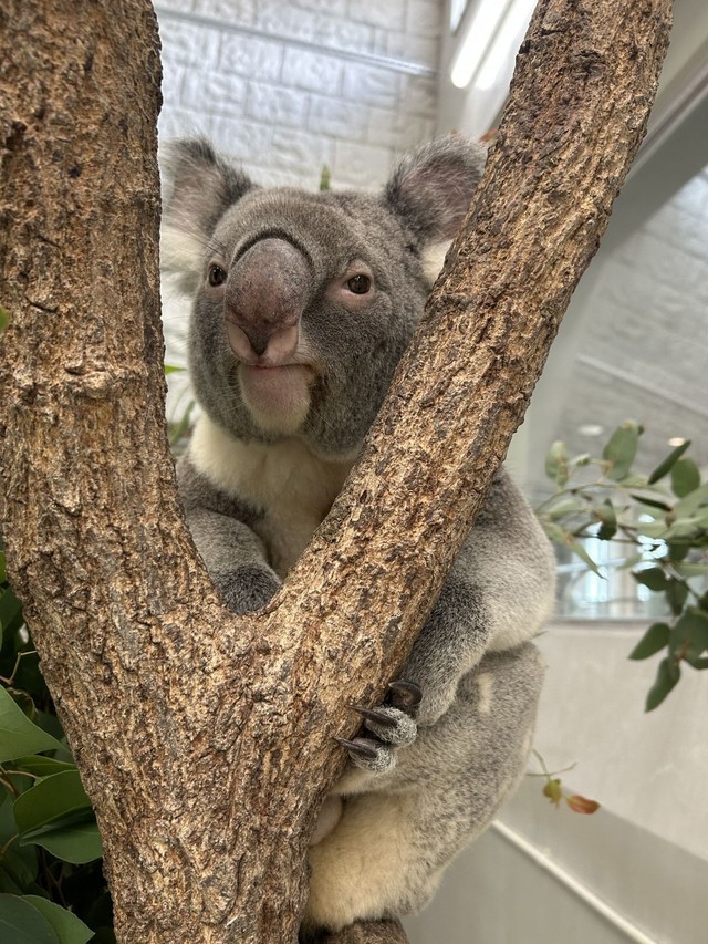 最近のノゾム (2)