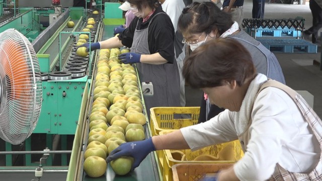 JA香川県和田集荷場　観音寺市豊浜町