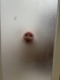 浴室からガラス越しに見えるつきみちゃんのお鼻！（提供：MicroPig_Tukimi@JAPANさん）