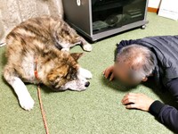 お父さんとにらめっこするさん歩くん（画像提供：ぽっぽっぽー SANPOさん）