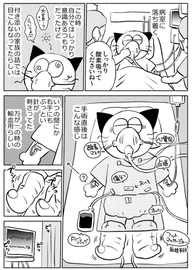 【漫画】『子宮全摘手術レポ』20（春日サブスカさん提供）