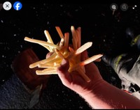グリーンリバー消防隊のフェイスブックより