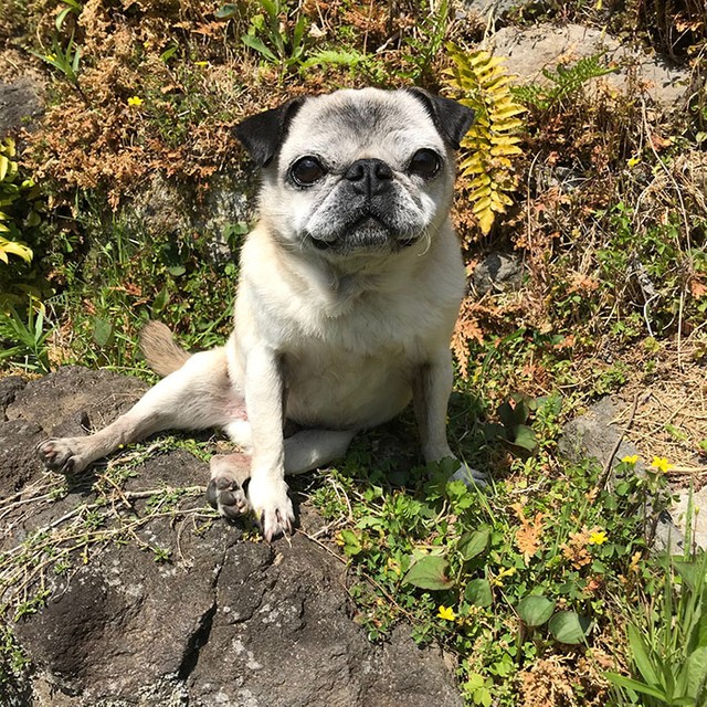 座り方を褒められて照れちゃった？（提供写真）