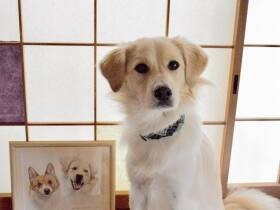 天からのお告げに運命的な出会いと行動　雑種犬「彩葉」は先代犬の生まれ変わり？