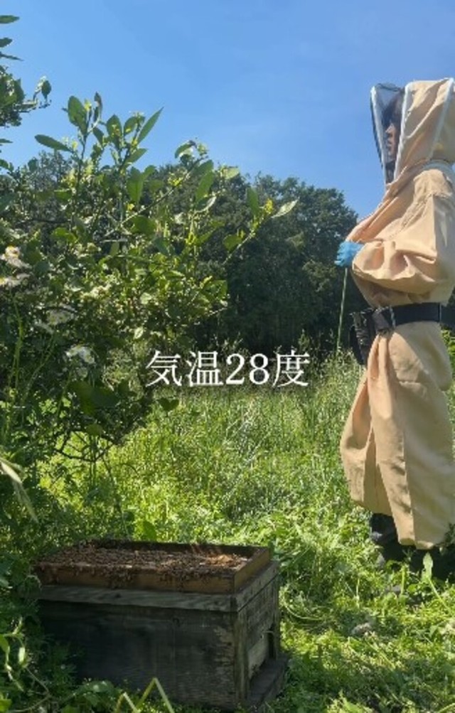 撮影当時は気温28℃。暑い日の防護服での作業は過酷／借金1億農業ガール（保條）さん（@1okugal）提供