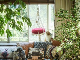 単行本『結んでつくるマクラメの猫ハンモック』から探る　猫にとっての居心地の良さ