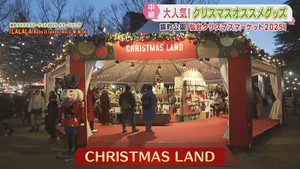 仙台クリスマスマーケット　グッズショップのクリスマスランドを紹介