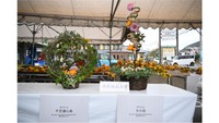 「フォックスフェイスフェア」2025年開催のようす（提供：JA晴れの国岡山）