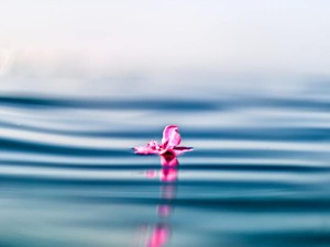 就活で言われた「あなたに価値はありません」をひっくり返せるまで