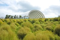 復旧作業中（国営讃岐まんのう公園 9月8日撮影）