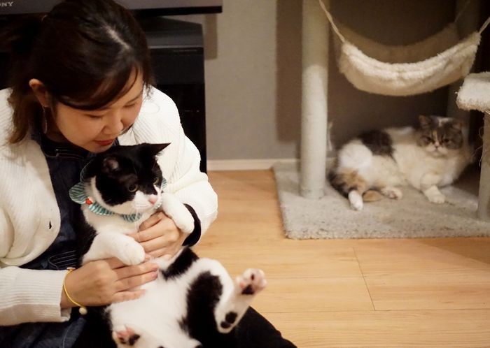 俺の知ってるおかあさんと違う