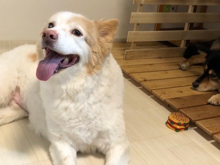 家族にしか見せない笑顔