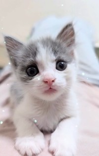 小平くんは、スクスク育っています！（「むし子。」さん提供、Instagramよりキャプチャ撮影）