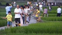 秋の豊作を願う伝統行事　小豆島の水田で「虫送り」　香川・小豆島