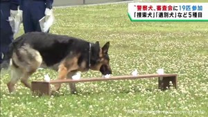 事件捜査や行方不明者捜索に活躍　警察犬の審査会　宮城・川崎町