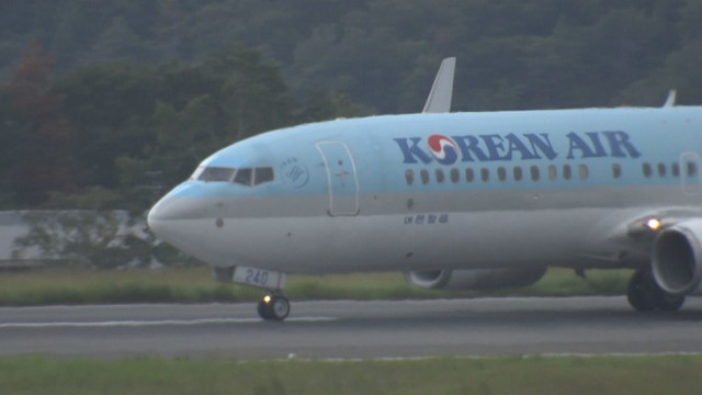 資料　大韓航空