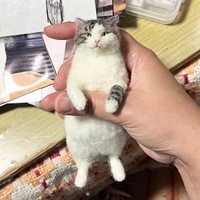 羊毛フェルトで制作中のキジ白猫「がす」くん。植毛終了、細部を調整し、ヒゲをつけます（画像提供：モリタさん）