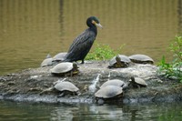 「一週間で教祖が変わって信者が減ってた」という文言と共に投稿された写真（画像提供：リクさん）
