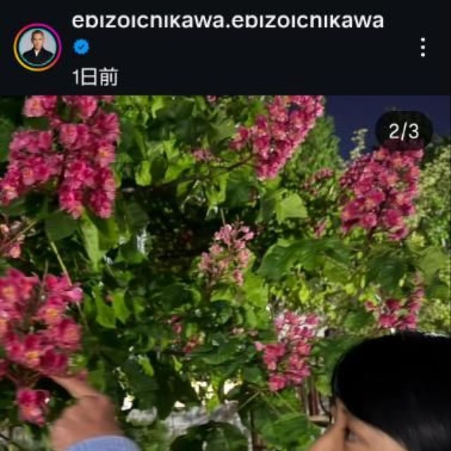 市川團十郎のインスタグラム@ebizoichikawa.ebizoichikawaより
