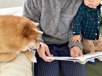 絵本の読み聞かせ。一緒に耳を澄ませるコンソメくんと、息子さん（画像提供：ポメ柴コンソメ 3歳さん）
