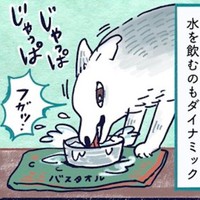 デカい犬さんの「ダイナミック給水」（漫画「デカい狼犬との日常」より／提供：riyaさん）