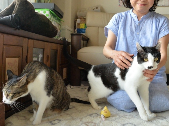 ２匹が来てから家族が笑ってばかり