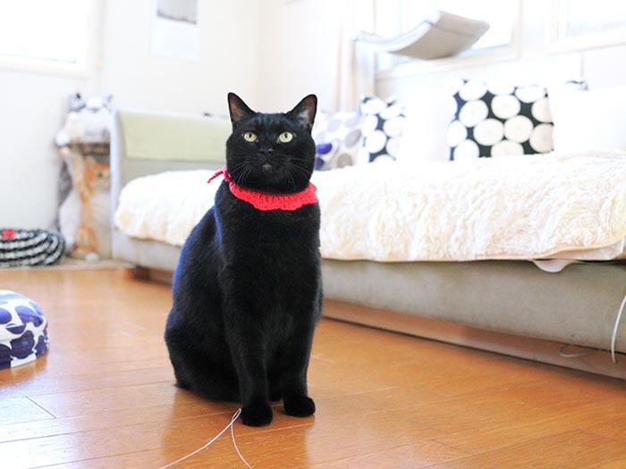 ボーリングピンのようなずっしり体型のころすけなり（テクニック3）