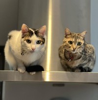 本当の姉弟のよう