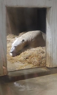 寝室で＝2025年11月