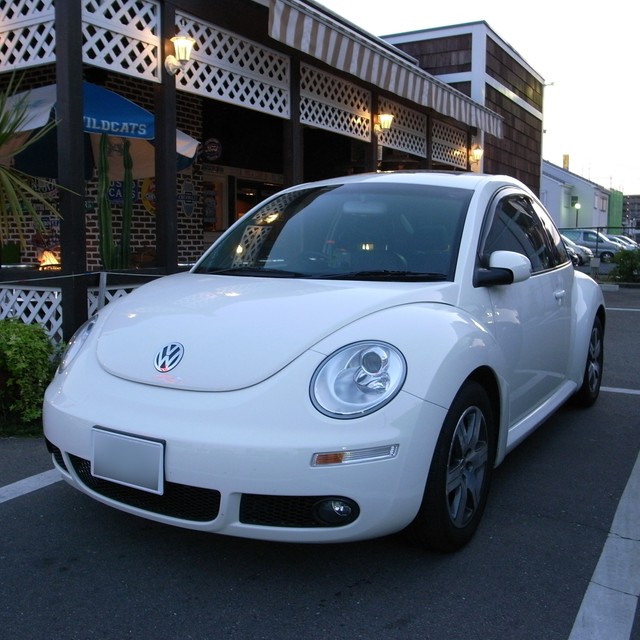 自動車と一輪挿しの関係 ダイハツの純正オプションで話題、VWニュー