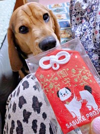 犬友さんからお守りをもらったしんたろうくん（画像提供：ともぞうさん）