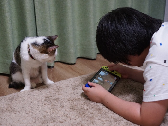 「晴君、スマッシュブラザーズとか聖剣伝説Ⅲが好きね～」