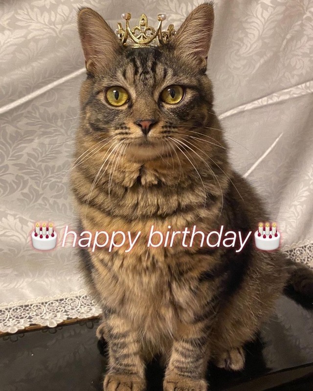 1歳のお誕生日おめでとう＝maruyura1025さん提供