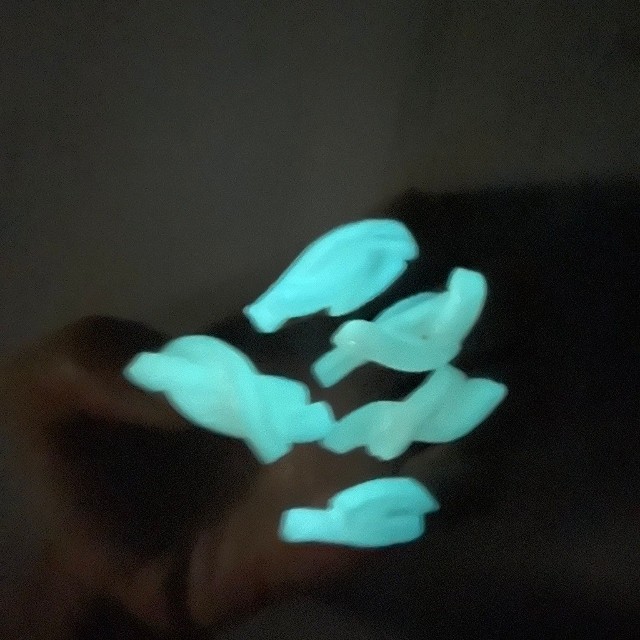 なんと暗闇では光ります（すずきあいさん提供）