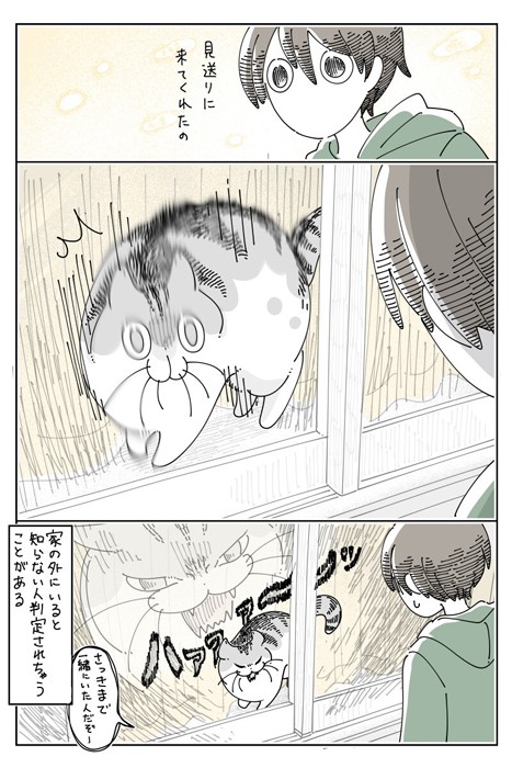 【漫画】「家の外をのぞくネコ」（提供：キュルZさん）