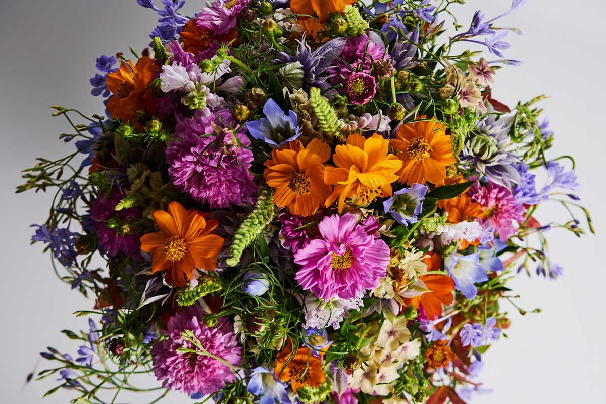 超特急・柏木悠、マフラーにぎゅっ | 朝日新聞デジタルマガジン