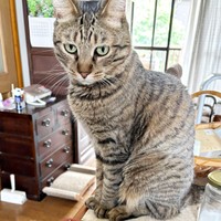 のびのびとおうちで過ごす葉月くん（画像提供：さくらさん）