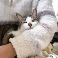 ママ、大好きにゃ＝napo_napo_さん提供