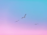 通勤時間ゼロ！同僚とのトラブルも激減！リモートワーク愛を語ってみた