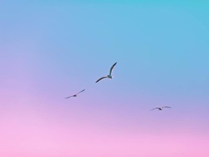 通勤時間ゼロ！同僚とのトラブルも激減！リモートワーク愛を語ってみた